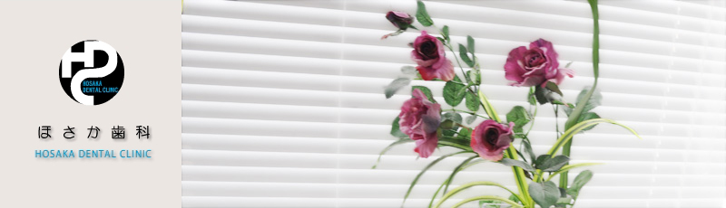 岐阜県揖斐郡大野町ほさか歯科